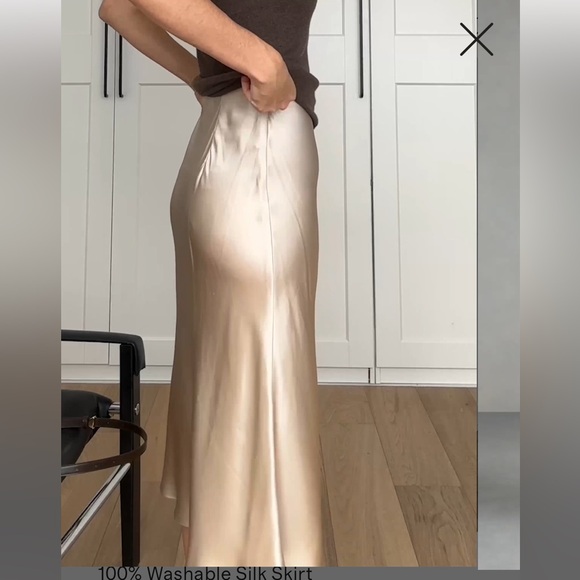 Quince Washable Silk Skirt - Champagne - Picture 2 of 4